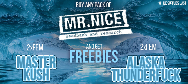 Mr. Nice - Buy Any Pack - Get 2 FEM Master Kush + 2 FEM Alaska Thunderfuck