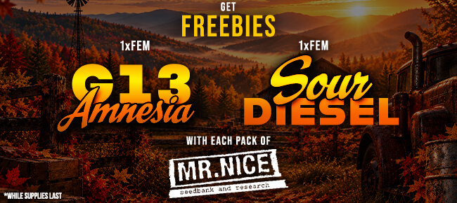 Mr. Nice - Buy Any Pack - Get 1 FEM G13 Amnesia + 1 FEM Sour Diesel