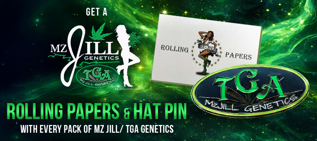 TGA Mz Jill - Buy Any Pack - Get TGA MZ Jill Hat Pin + Rolling Papers