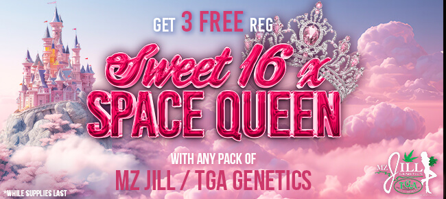 TGA Mz Jill - Buy Any Pack - Get 3 REG Sweet 16 x Space Queen