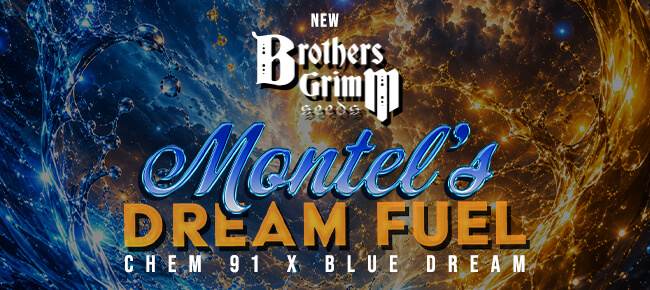 Brothers Grimm - New Drop - Montel's Dream Fuel