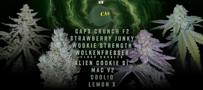 Capulator - New Drop - August 2026