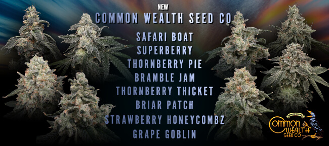 Common Wealth Seed Co - New Drop July 2026