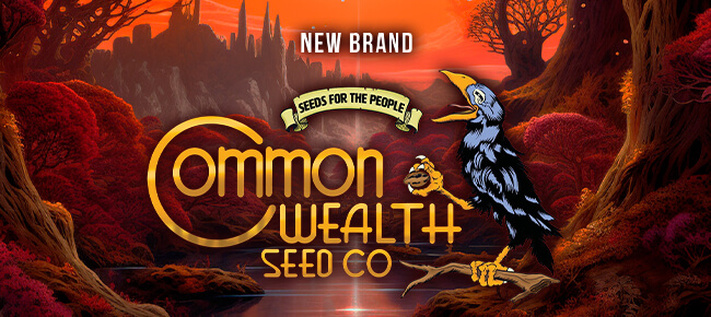 Common Wealth Seed Co - New Breeder