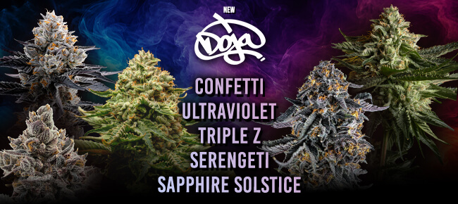 Doja Seeds - New Strains July 2026