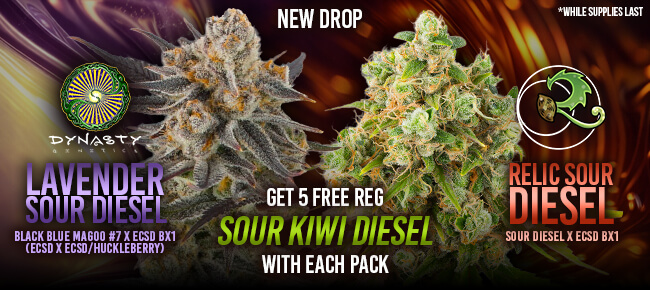 Dynasty and Relic - Buy Any New Diesel Drop - Get 5 REG Sour Kiwi Diesel
