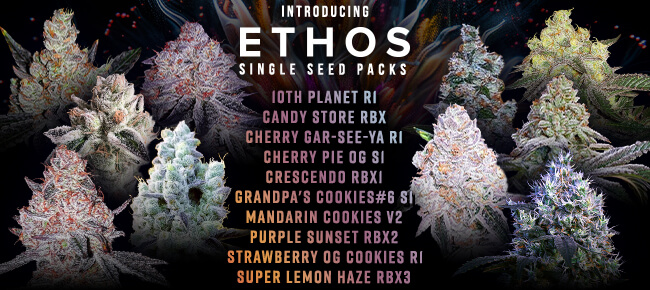 Ethos Genetics - New Solo Packs