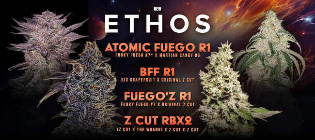 Ethos Genetics - New Drop - August 2026