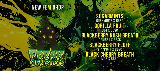 Freak Genetics - New BBSC Drop Strains
