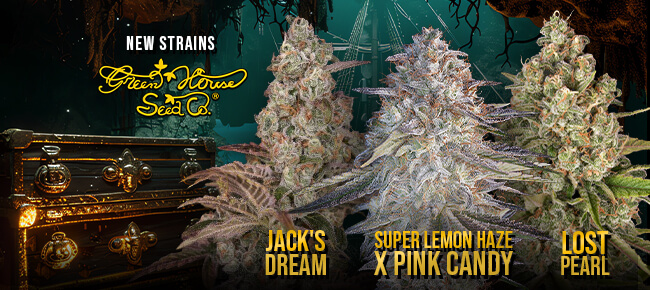 Green House - New Strains Summer 2025