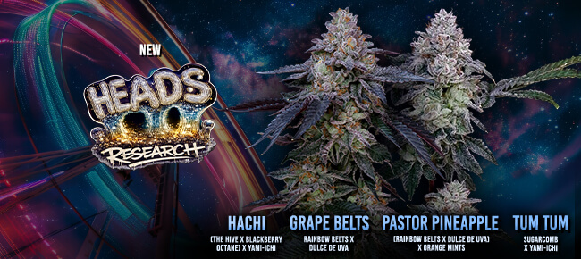 Heads Research - New Drop July 2026