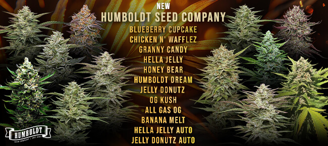 Humboldt Seed Co - New Strains May 2026