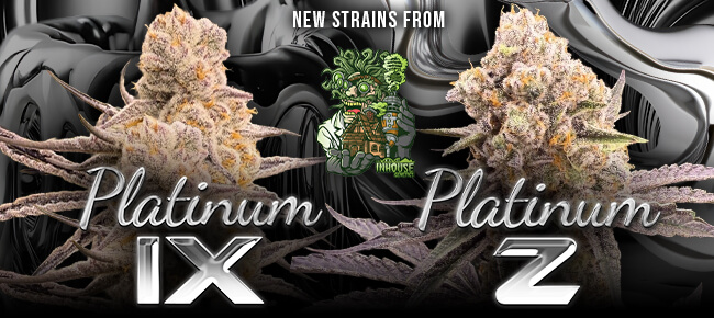 In House Genetics - Platinum IX + Platinum Z Drop