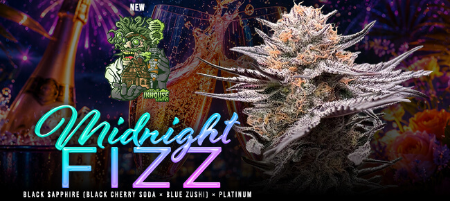 In House Genetics - New Drop June 2026 - Midnight Fizz