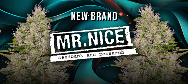 Mr. Nice - New Brand Announcement