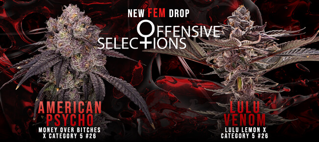 Offensive Selections - New Drop - American Psycho + Lulu Venom