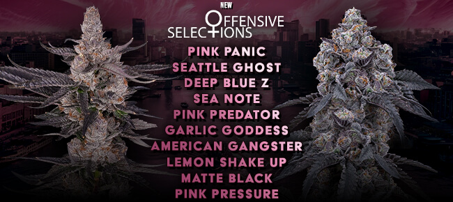 Offensive Selections - New Drop - July 2026
