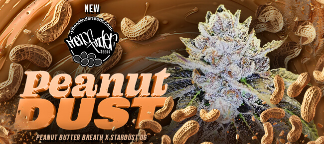 Pheno Finder - New Strain - Peanut Dust
