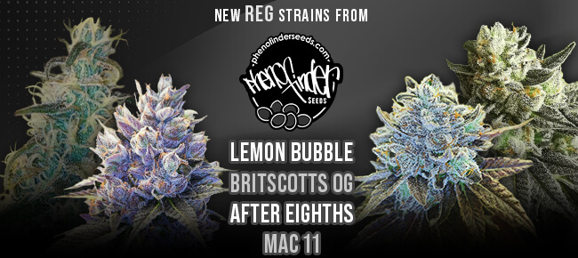 Pheno Finder - New Strains - REG