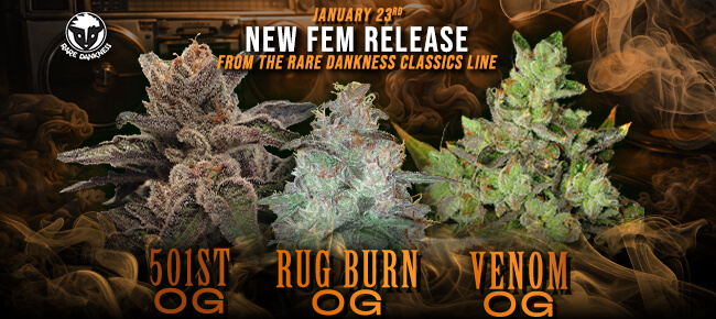 Rare Dankness - 501st RugBurn Venom - FEM Drop