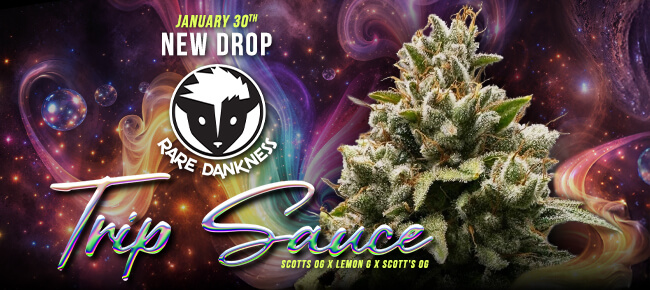 Rare Dankness - New Drop - Trip Sauce