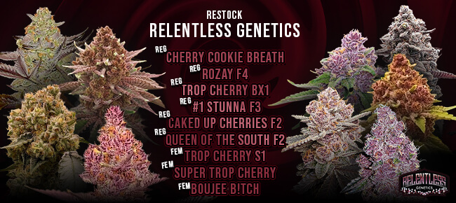 Relentless Genetics - Nov 2025 - Restock