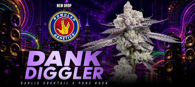 Romulan Genetics - New Drop - Dank Diggler F1