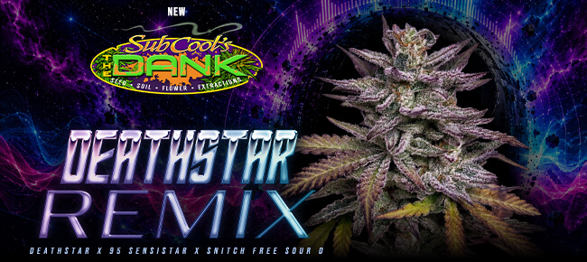 SubCool Seeds - New Drop - DeathStar Remixed