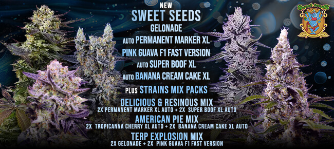 Sweet Seeds - New Strains - Mar 2026
