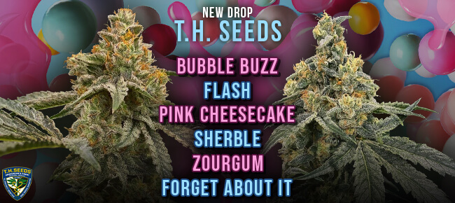 TH Seeds - New Strains - Available Now