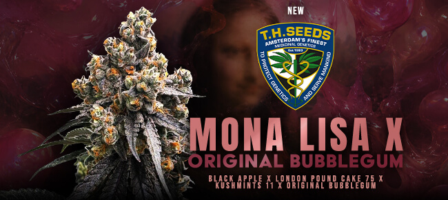 TH Seeds - New Drop June 2026 - Mona Lisa x Original Bubblegum