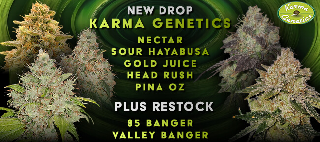 Karma Genetics - New Drop + Restock