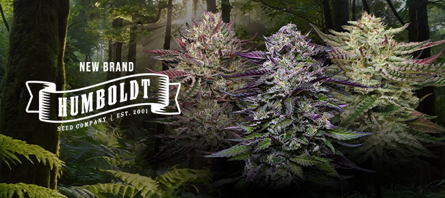 Humboldt Seed Co - New Brand Annoucement