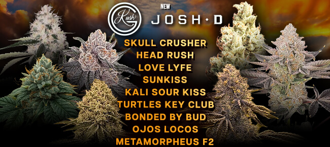Josh D - New Brand
