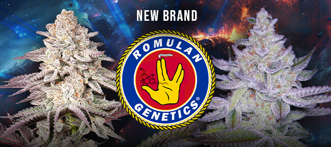 Romulan Genetics - New Breeder