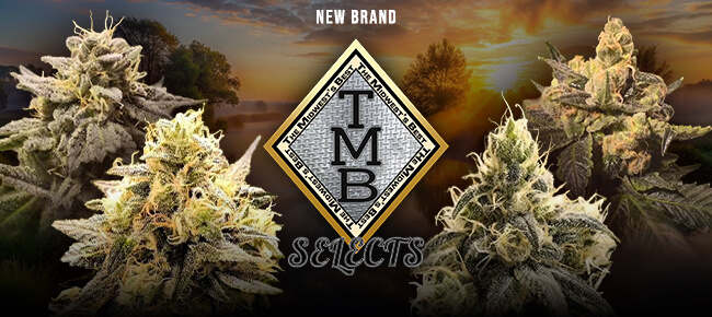 TMB Selects - New Brand
