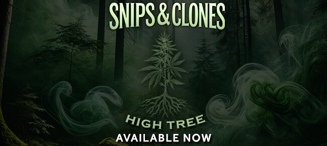 High Tree Gardens - Snips and Clones - Now Available