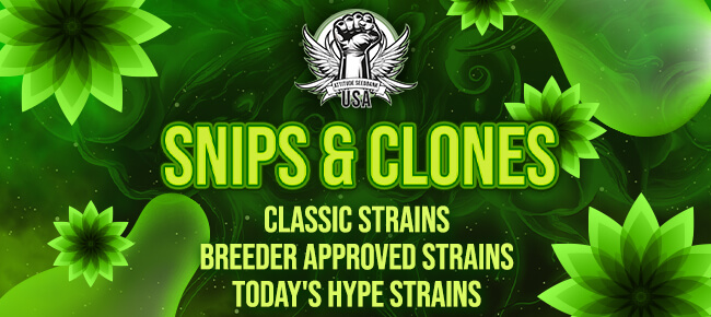 Clones and Snips - Now Available