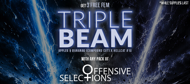 Offensive Selections - Buy Any Pack - Get 3 FEM Triple Beam