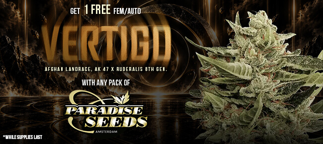 Paradise Seeds - Buy Any Pack - Get 1 FEM Vertigo AUTO