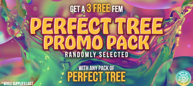Perfect Tree - Buy Any Pack - Get Random 3 FEM Seed Promo Pack