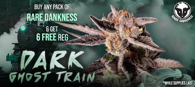 Rare Dankness - Buy Any Pack - Get 6 REG Dark Ghost Train