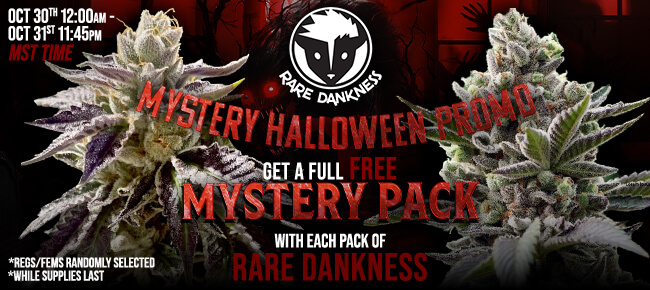 Rare Dankness - Buy Any Pack - Get REG or FEM Mystery Pack