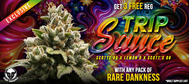 Rare Dankness - Buy Any Pack - Get 3 REG Trip Sauce