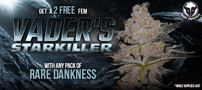 Rare Dankness - Buy Any Pack - Get 2 FEM Vader's Starkiller