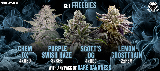 Rare Dankness - Buy Any Pack - Get EXTRA FREEBIES!