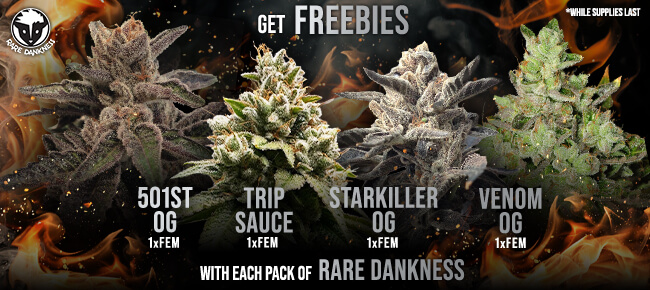 Rare Dankness - Buy Any Pack - Get EXTRA FREEBIES!