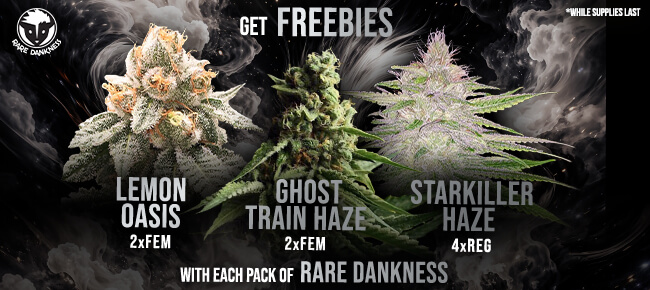 Rare Dankness - Buy Any Pack - Get EXTRA FREEBIES!