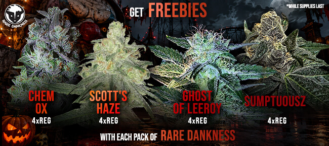 Rare Dankness - Buy Any Pack - Get EXTRA FREEBIES!