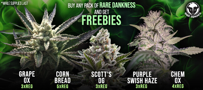 Rare Dankness - Buy Any Pack - Get EXTRA FREEBIES!